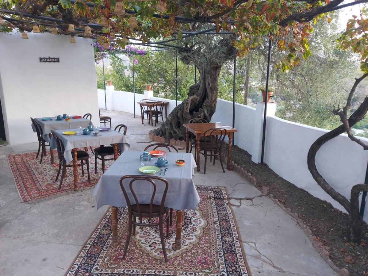Bed and Breakfast Casa Loko Коин Экстерьер фото