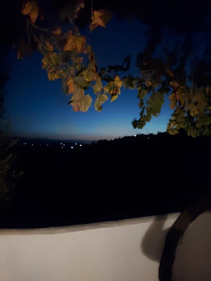 Bed and Breakfast Casa Loko Коин Экстерьер фото